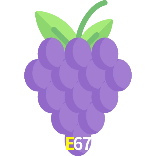 E67